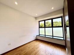 Holland Link (D10), Terrace #478551411